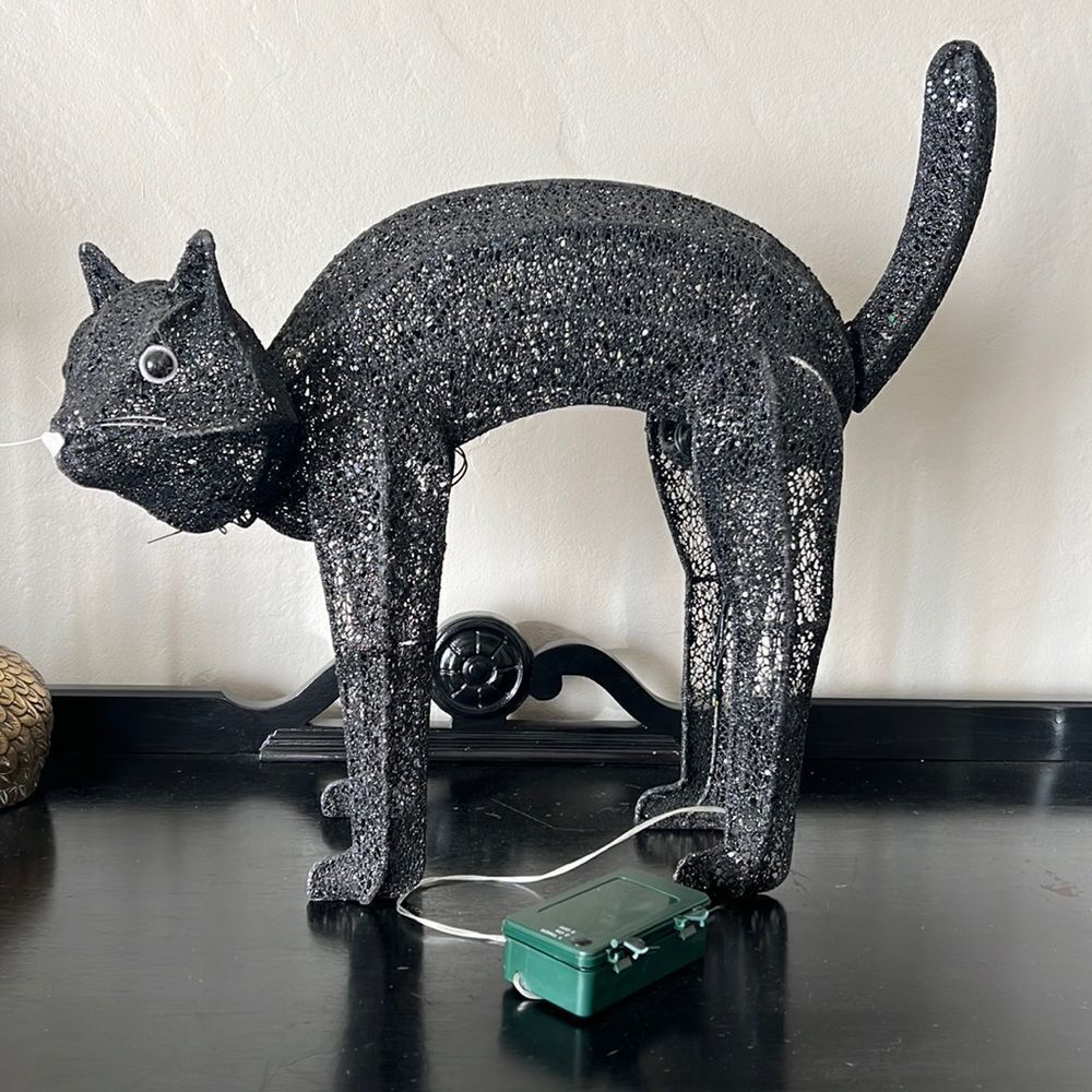 Pottery Barn Fiber Optic Cat